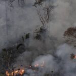 Floresta queimando na Amazonia - Foto de Marizilda Cruppe