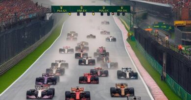 GP São Paulo de F1 traz grandes parceiros na experiência com o público