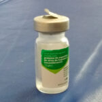 vacina contra hepatite b