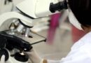 Parceria internacional busca acelerar produção de reagentes e testes diagnósticos para dengue e covid-19