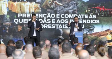 Governo do Rio de Janeiro lança aplicativo com inteligência artificial para monitorar queimadas