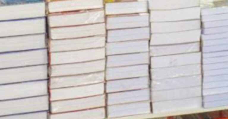 livros de muitas páginas ok
