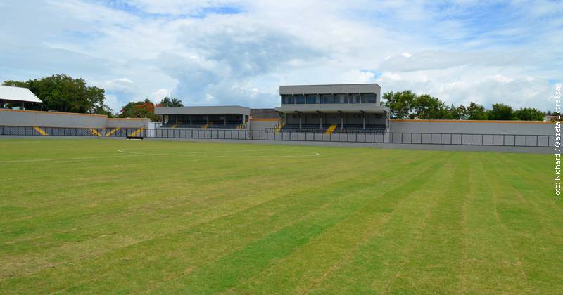 campo do Estádio Rei Pelé