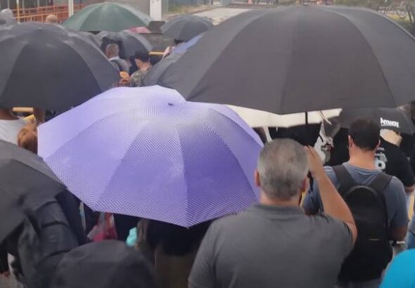 pessoas usando guarda-chuva