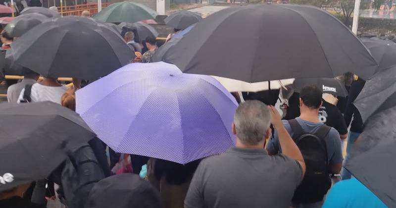 pessoas usando guarda-chuva